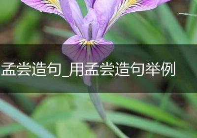 孟尝造句_用孟尝造句举例