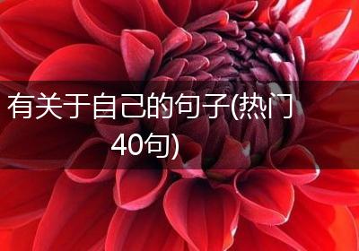 有关于自己的句子(热门40句)