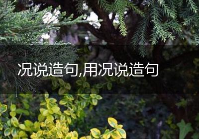 况说造句,用况说造句