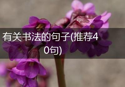 有关书法的句子(推荐40句)