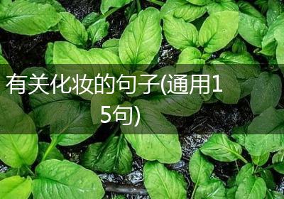 有关化妆的句子(通用15句)