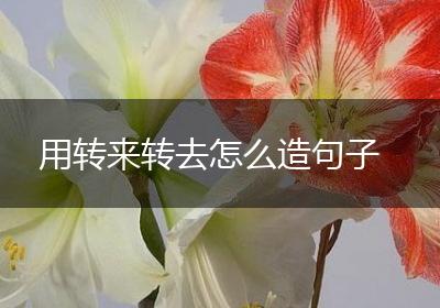 用转来转去怎么造句子