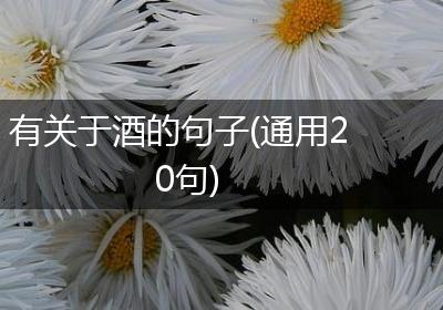 有关于酒的句子(通用20句)