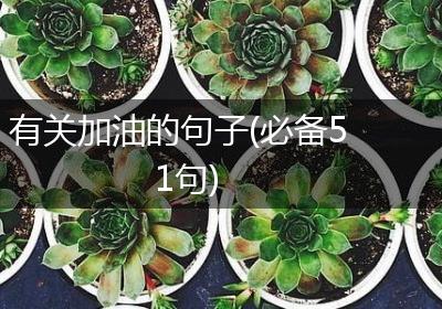 有关加油的句子(必备51句)