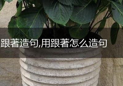 跟著造句,用跟著怎么造句