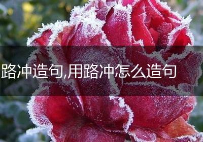 路冲造句,用路冲怎么造句
