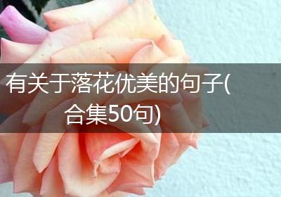 有关于落花优美的句子(合集50句)