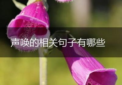 声唤的相关句子有哪些