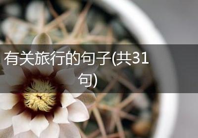 有关旅行的句子(共31句)