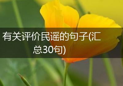 有关评价民谣的句子(汇总30句)