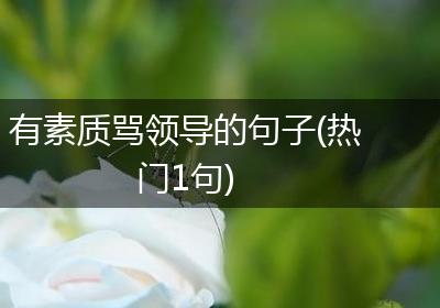 有素质骂领导的句子(热门1句)
