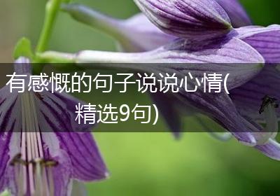 有感慨的句子说说心情(精选9句)