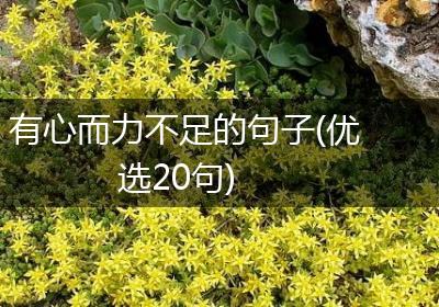 有心而力不足的句子(优选20句)