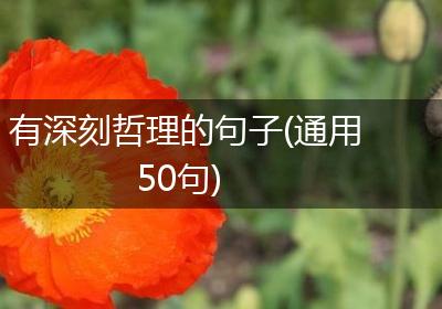 有深刻哲理的句子(通用50句)