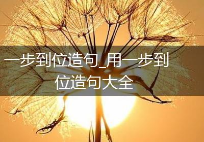 一步到位造句_用一步到位造句大全