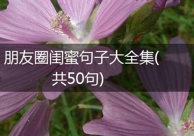 朋友圈闺蜜句子大全集(共50句)