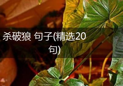杀破狼 句子(精选20句)