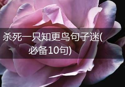 杀死一只知更鸟句子迷(必备10句)