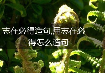 志在必得造句,用志在必得怎么造句