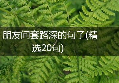 朋友间套路深的句子(精选20句)