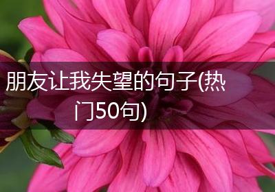 朋友让我失望的句子(热门50句)