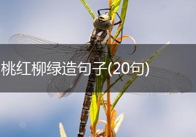 桃红柳绿造句子(20句)