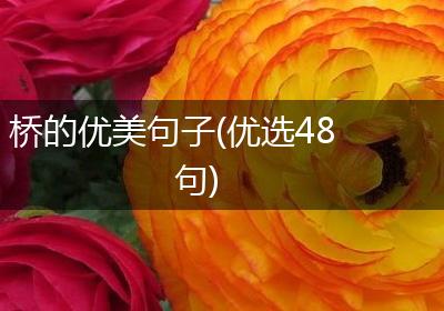 桥的优美句子(优选48句)