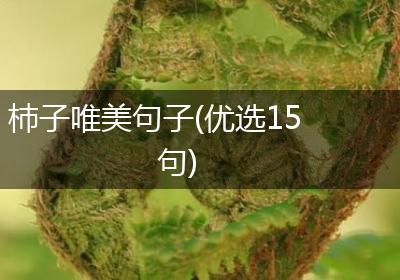 杮子唯美句子(优选15句)