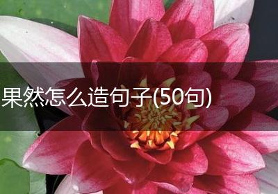 果然怎么造句子(50句)