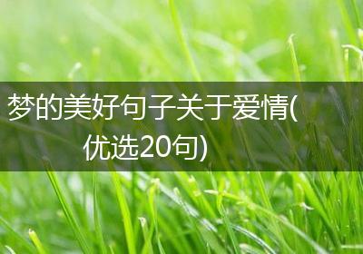 梦的美好句子关于爱情(优选20句)