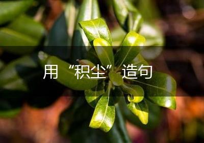 用“积尘”造句
