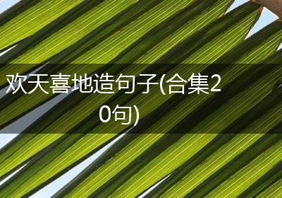 欢天喜地造句子(合集20句)