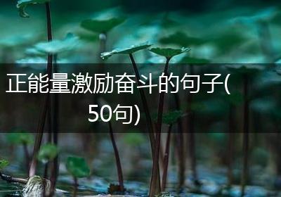 正能量激励奋斗的句子(50句)