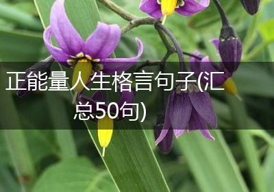 正能量人生格言句子(汇总50句)