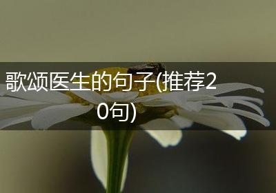 歌颂医生的句子(推荐20句)