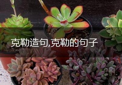 克勒造句,克勒的句子
