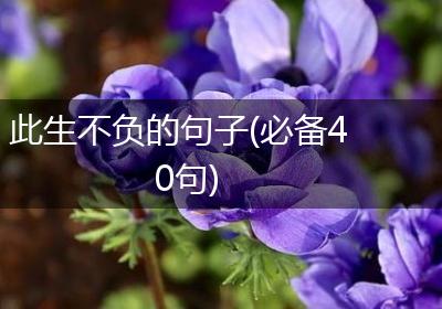 此生不负的句子(必备40句)