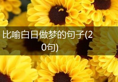 比喻白日做梦的句子(20句)