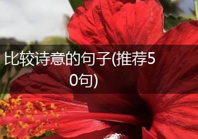 比较诗意的句子(推荐50句)