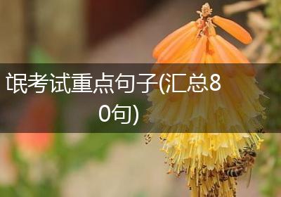 氓考试重点句子(汇总80句)