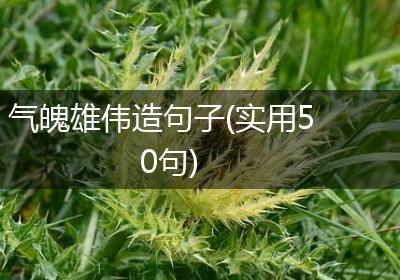 气魄雄伟造句子(实用50句)