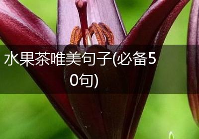 水果茶唯美句子(必备50句)