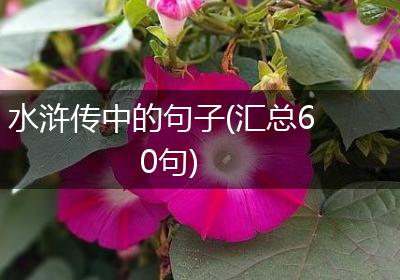 水浒传中的句子(汇总60句)