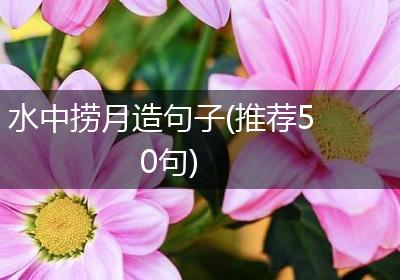 水中捞月造句子(推荐50句)