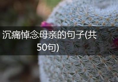 沉痛悼念母亲的句子(共50句)