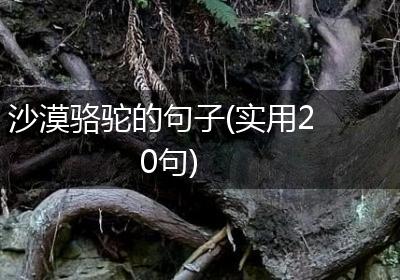 沙漠骆驼的句子(实用20句)