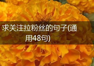 求关注拉粉丝的句子(通用48句)