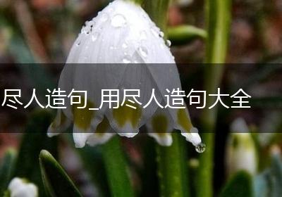 尽人造句_用尽人造句大全