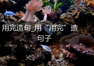 用完造句_用“用完”造句子