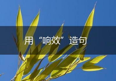 用“响效”造句